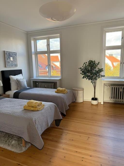 In The Heart Of The Center Apartamento Aalborg