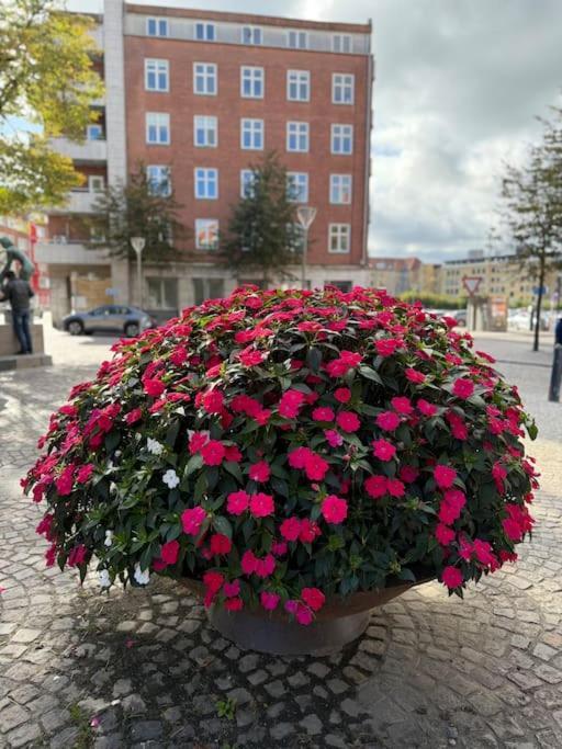 Apartamento In The Heart Of The Center Aalborg
