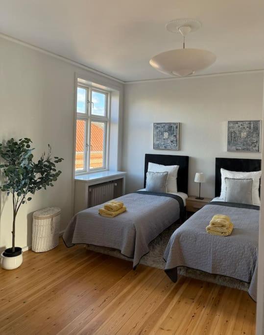 Apartamento In The Heart Of The Center