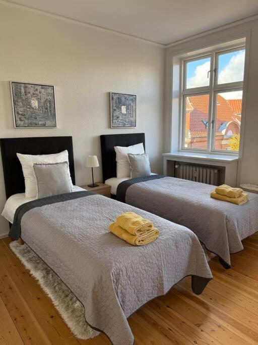 Apartamento In The Heart Of The Center